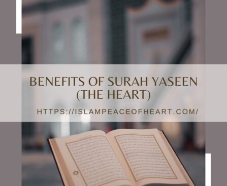 Benefits Of Surah Yaseen (The Heart)