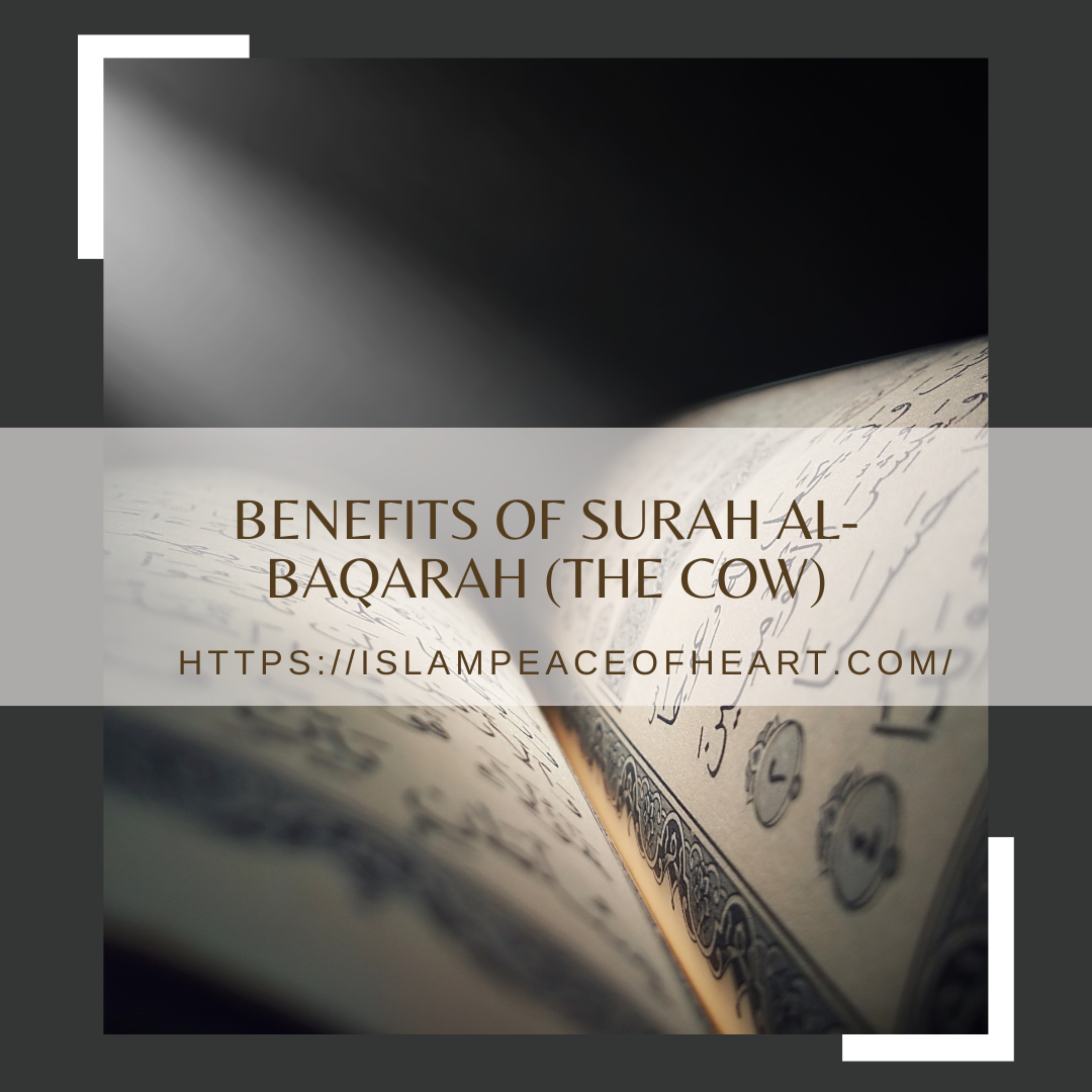 Benefits Of Surah Al Baqarah The Cow