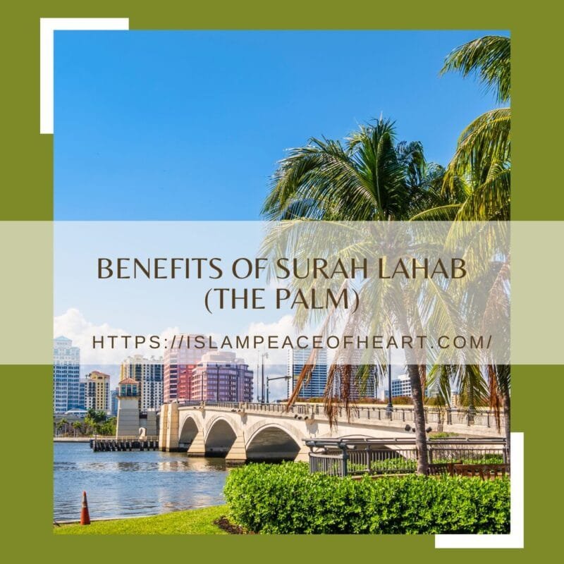 Benefits Of Surah Lahab The Palm