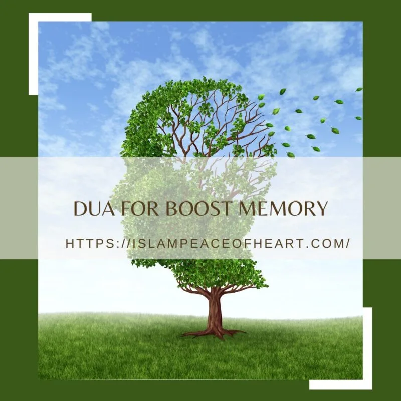 Dua For Boost Memory