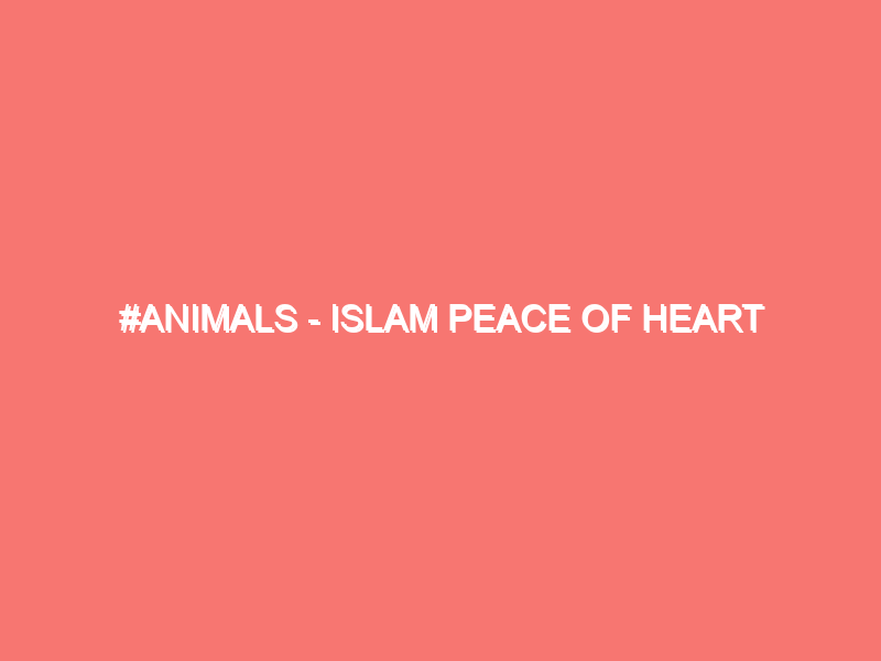 animals islam peace of heart 1201