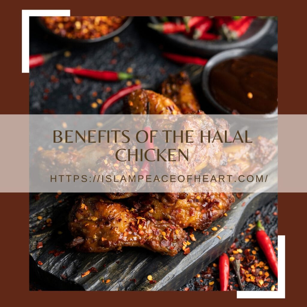 BENEFITS OF THE HALAL CHICKEN