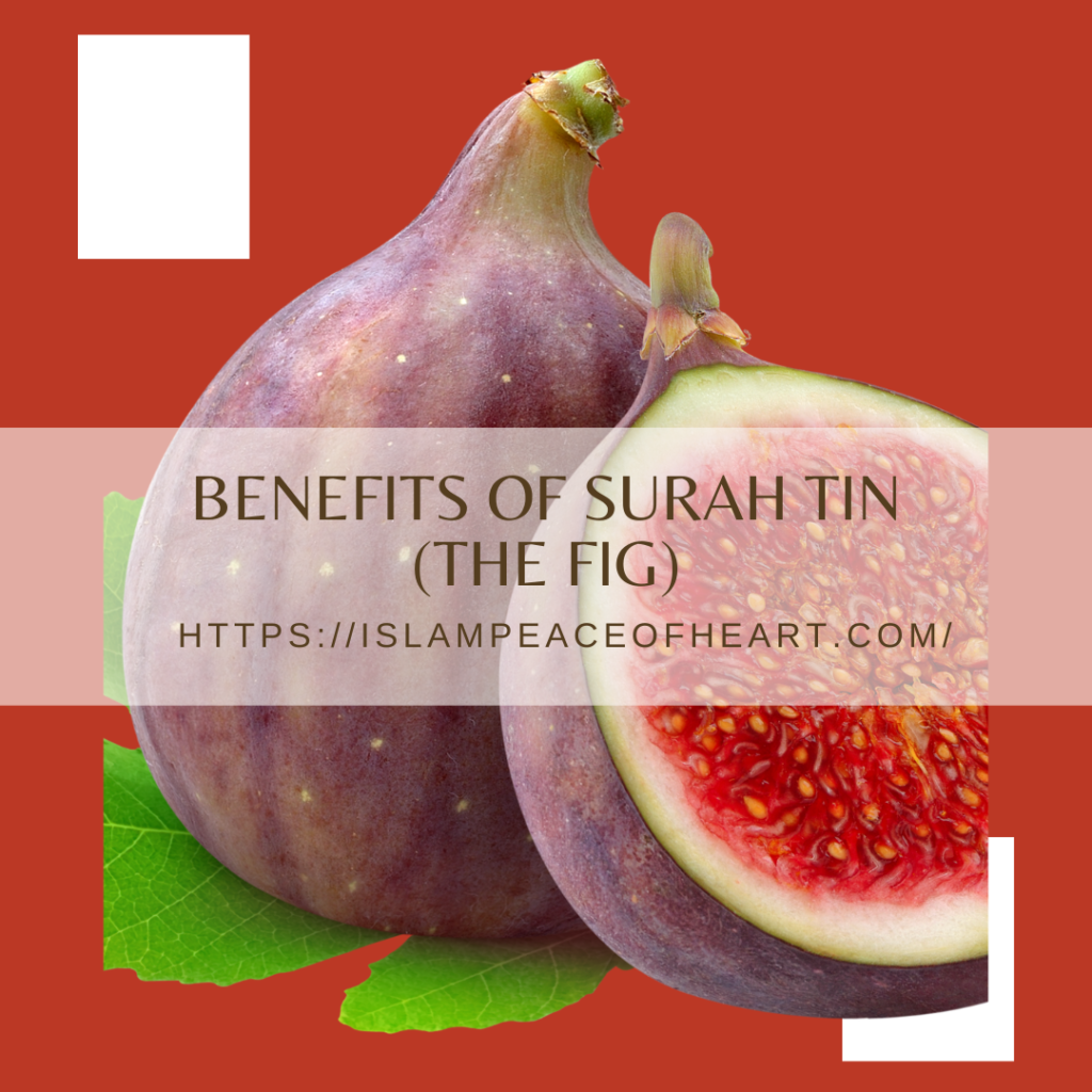 Benefits of Surah Tin The Fig