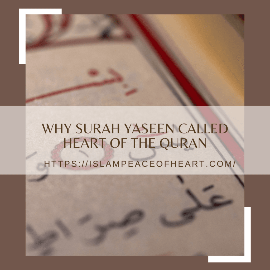 Why Surah Yaseen Called Heart Of The Quran